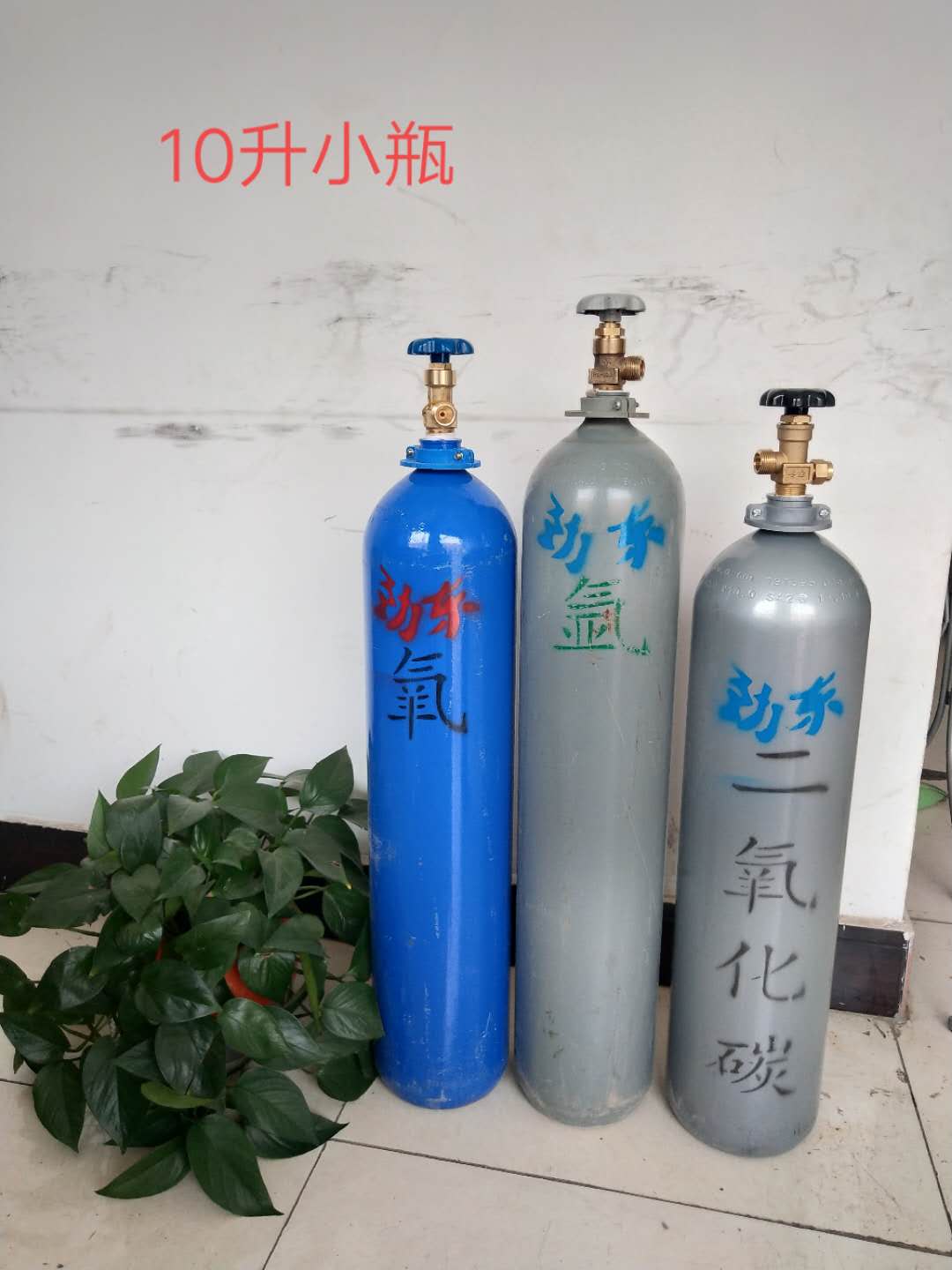 寧夏氧氣,寧夏氮氣,寧夏干冰,寧夏二氧化碳,寧夏氫氣，寧夏氦氣，寧夏氬氣，寧夏丙烷，寧夏乙炔，寧夏混合氣，寧夏高純空氣，寧夏液化石油氣，銀川氧氣,銀川氮氣,銀川干冰,銀川二氧化碳,銀川氫氣，銀川氦氣，銀川氬氣，銀川丙烷，銀川乙炔，銀川混合氣，銀川高純空氣，銀川液化石油氣